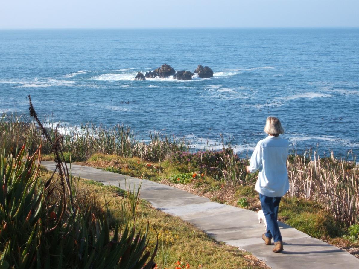 Smuts Ave. Guest Rooms Hermanus Eksteriør billede
